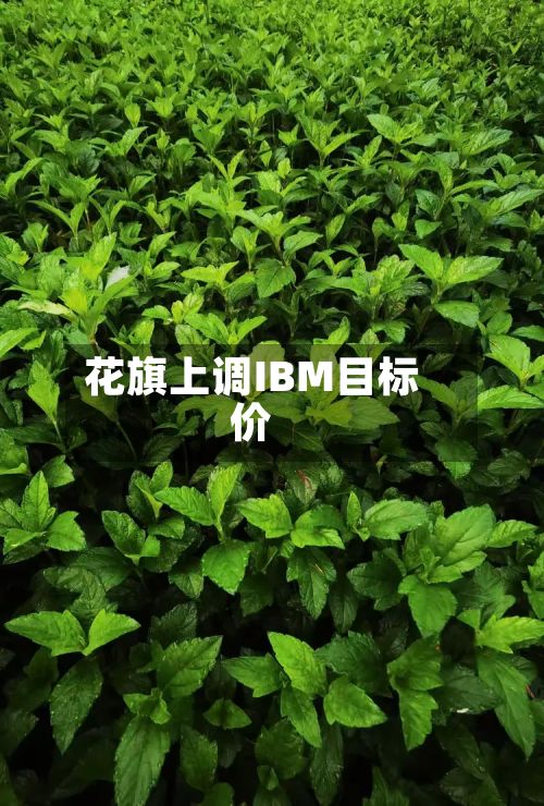 花旗上调IBM目标价