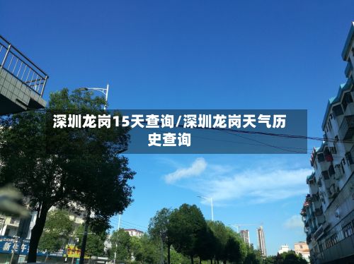 深圳龙岗15天查询/深圳龙岗天气历史查询