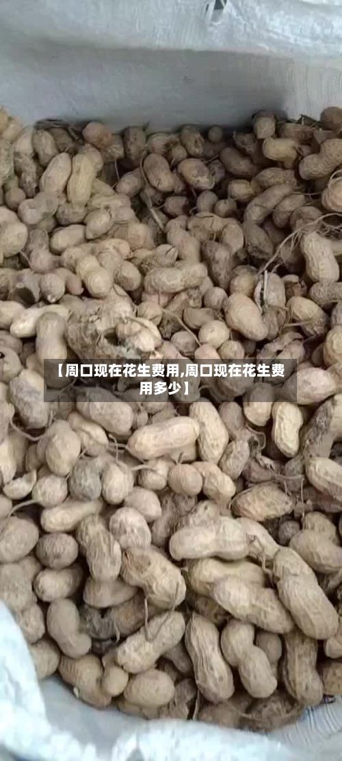 【周口现在花生费用,周口现在花生费用多少】-第2张图片