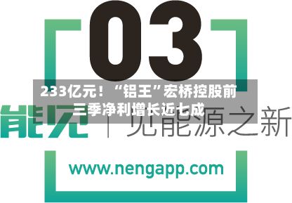 233亿元！“铝王”宏桥控股前三季净利增长近七成-第1张图片