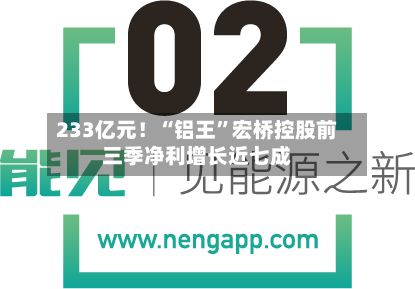 233亿元！“铝王”宏桥控股前三季净利增长近七成-第3张图片