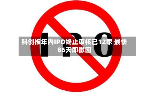 科创板年内IPO终止审核已12家 最快86天即撤回-第2张图片