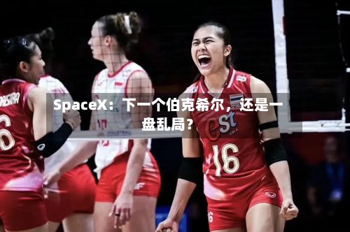 SpaceX：下一个伯克希尔，还是一盘乱局？-第2张图片
