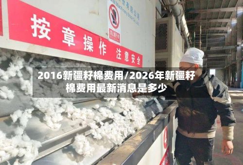 2016新疆籽棉费用/2026年新疆籽棉费用最新消息是多少