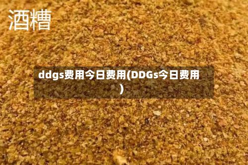 ddgs费用今日费用(DDGs今日费用)-第2张图片