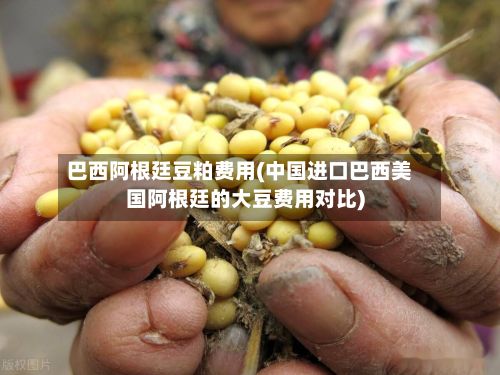 巴西阿根廷豆粕费用(中国进口巴西美国阿根廷的大豆费用对比)