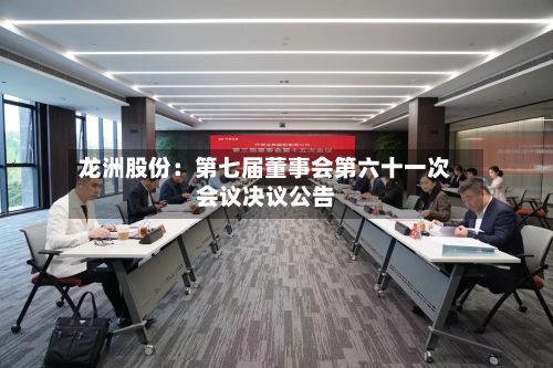 龙洲股份：第七届董事会第六十一次会议决议公告