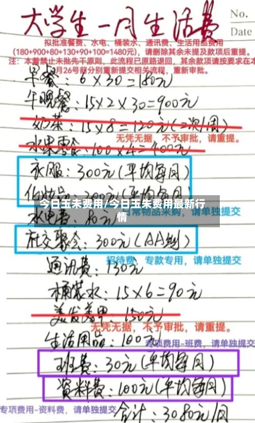 今日玉未费用/今日玉朱费用最新行情-第2张图片