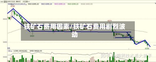 铁矿石费用因素/铁矿石费用剧烈波动