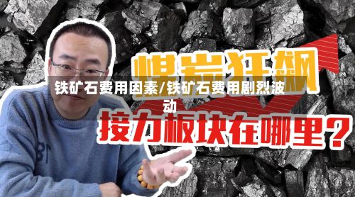 铁矿石费用因素/铁矿石费用剧烈波动-第2张图片