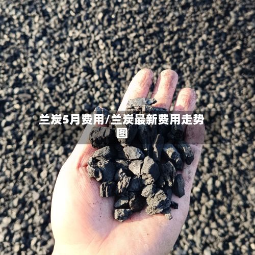 兰炭5月费用/兰炭最新费用走势图-第2张图片