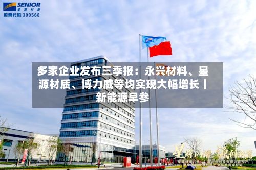 多家企业发布三季报：永兴材料、星源材质、博力威等均实现大幅增长｜新能源早参-第2张图片