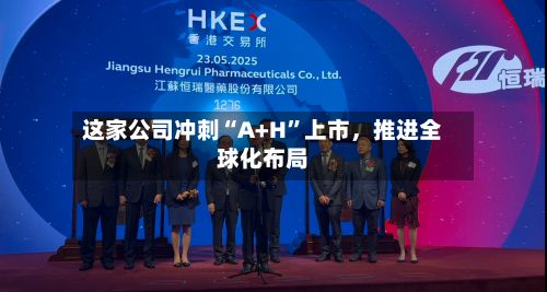 这家公司冲刺“A+H”上市，推进全球化布局-第2张图片