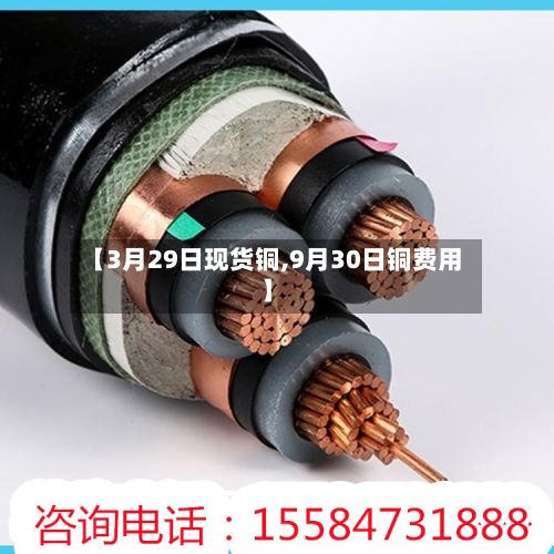 【3月29日现货铜,9月30日铜费用】