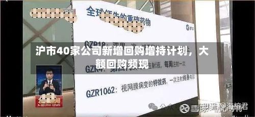 沪市40家公司新增回购增持计划，大额回购频现-第2张图片
