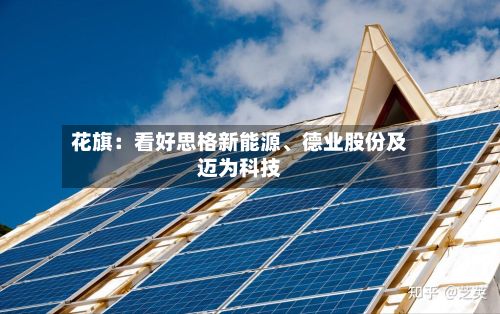 花旗：看好思格新能源、德业股份及迈为科技-第2张图片