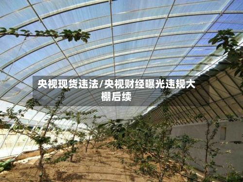 央视现货违法/央视财经曝光违规大棚后续-第3张图片