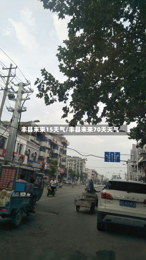丰县未来15天气/丰县未来70天天气