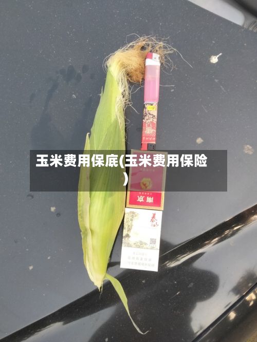 玉米费用保底(玉米费用保险)