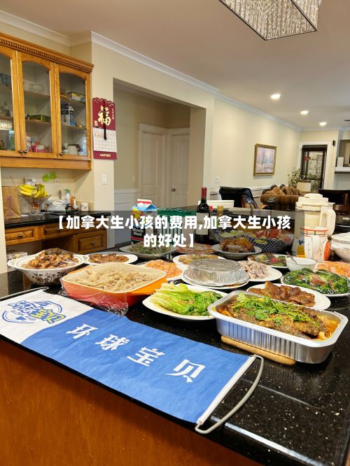 【加拿大生小孩的费用,加拿大生小孩的好处】