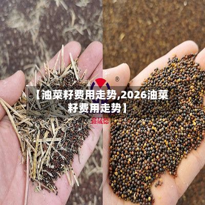 【油菜籽费用走势,2026油菜籽费用走势】