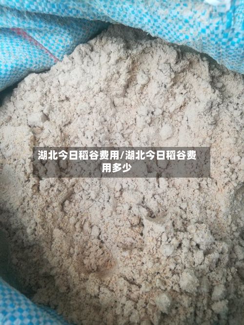 湖北今日稻谷费用/湖北今日稻谷费用多少
