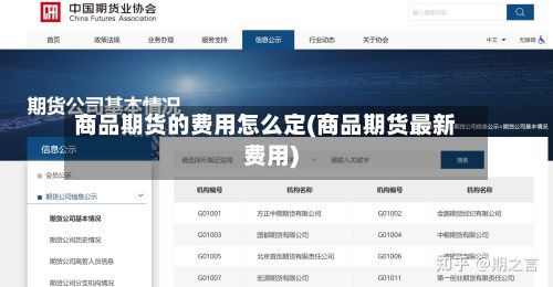 商品期货的费用怎么定(商品期货最新费用)-第2张图片