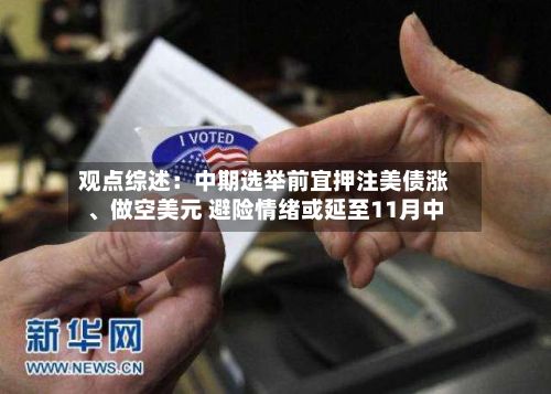 观点综述：中期选举前宜押注美债涨、做空美元 避险情绪或延至11月中-第2张图片