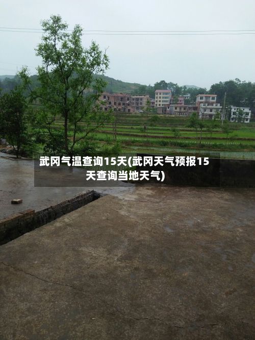 武冈气温查询15天(武冈天气预报15天查询当地天气)-第2张图片