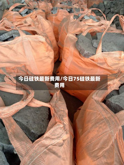 今日硅铁最新费用/今日75硅铁最新费用