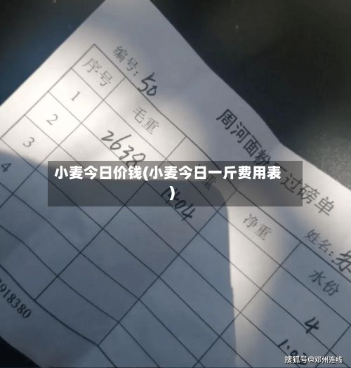 小麦今日价钱(小麦今日一斤费用表)-第2张图片