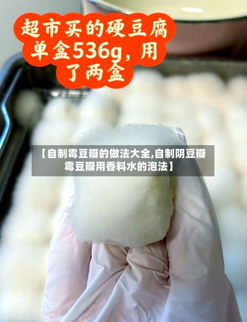 【自制霉豆瓣的做法大全,自制阴豆瓣霉豆瓣用香料水的泡法】