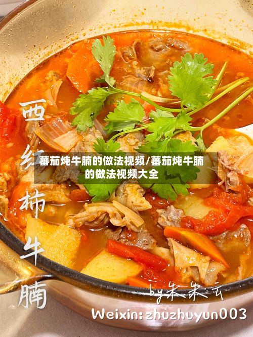 蕃茄炖牛腩的做法视频/蕃茄炖牛腩的做法视频大全