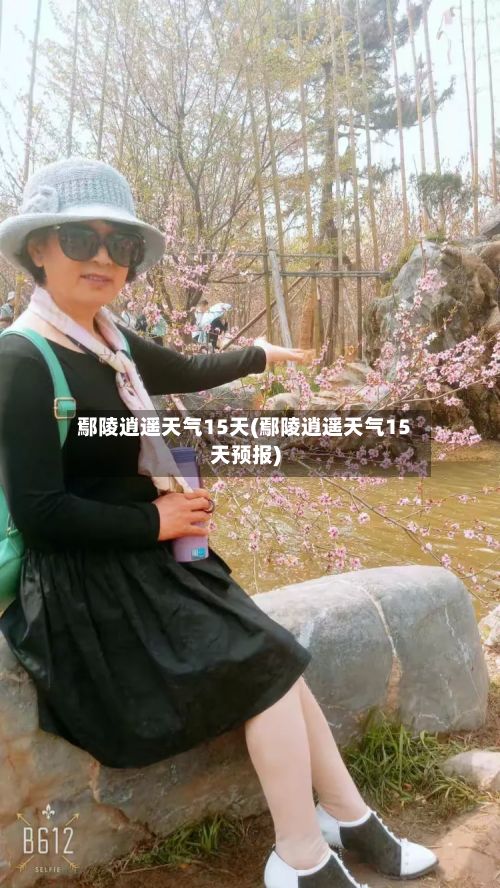 鄢陵逍遥天气15天(鄢陵逍遥天气15天预报)-第3张图片