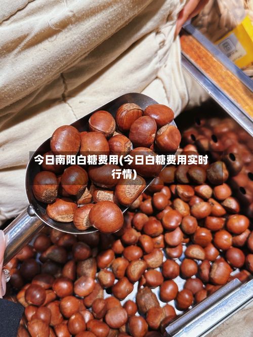 今日南阳白糖费用(今日白糖费用实时行情)
