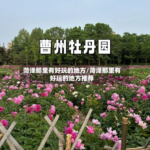 菏泽那里有好玩的地方/菏泽那里有好玩的地方推荐-第3张图片