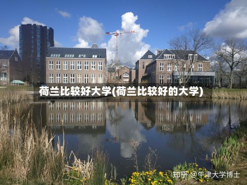 荷兰比较好大学(荷兰比较好的大学)-第2张图片