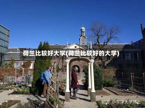 荷兰比较好大学(荷兰比较好的大学)