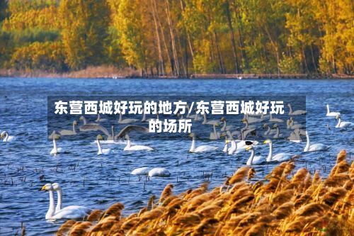 东营西城好玩的地方/东营西城好玩的场所