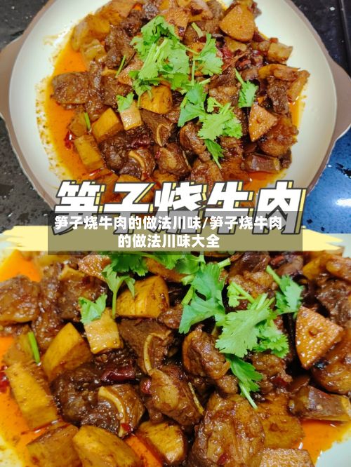 笋子烧牛肉的做法川味/笋子烧牛肉的做法川味大全