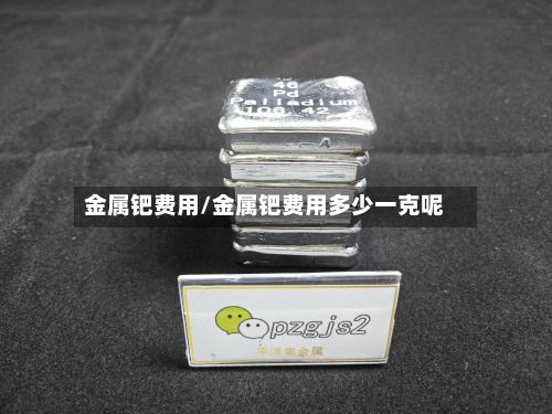 金属钯费用/金属钯费用多少一克呢-第2张图片