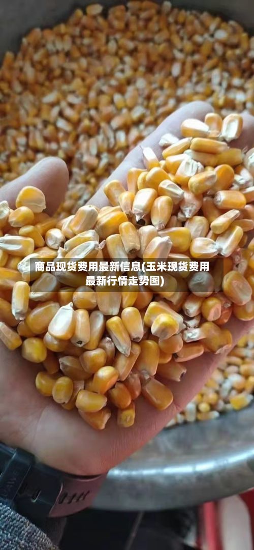 商品现货费用最新信息(玉米现货费用最新行情走势图)-第2张图片