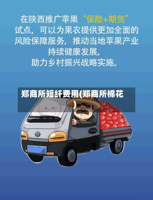 郑商所短纤费用(郑商所棉花)