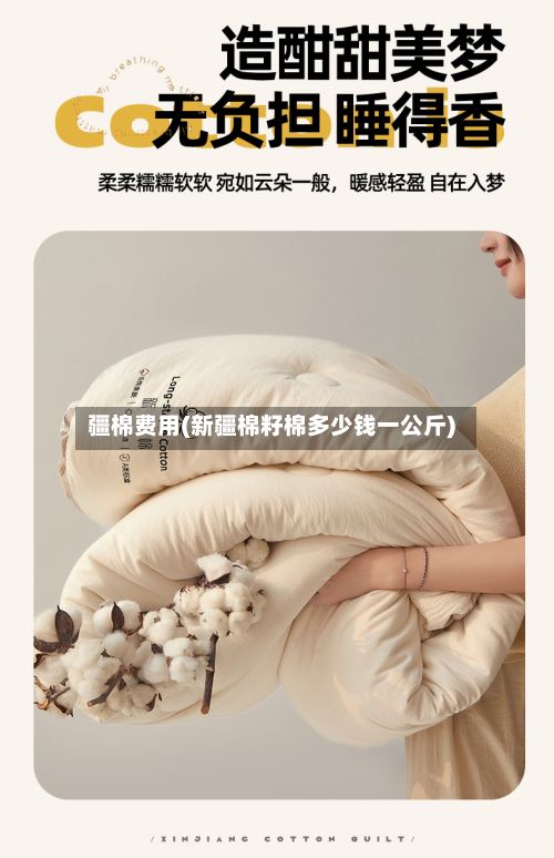 疆棉费用(新疆棉籽棉多少钱一公斤)-第2张图片