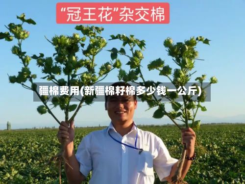 疆棉费用(新疆棉籽棉多少钱一公斤)