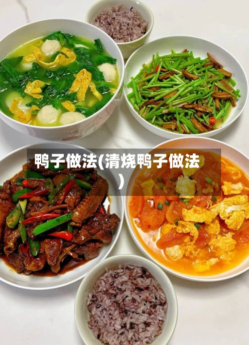 鸭子做法(清烧鸭子做法)-第2张图片