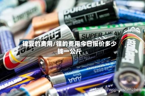 镍豆的费用/镍的费用今日报价多少钱一公斤