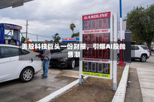 美股科技巨头一份财报，引爆AI股抛售潮-第3张图片