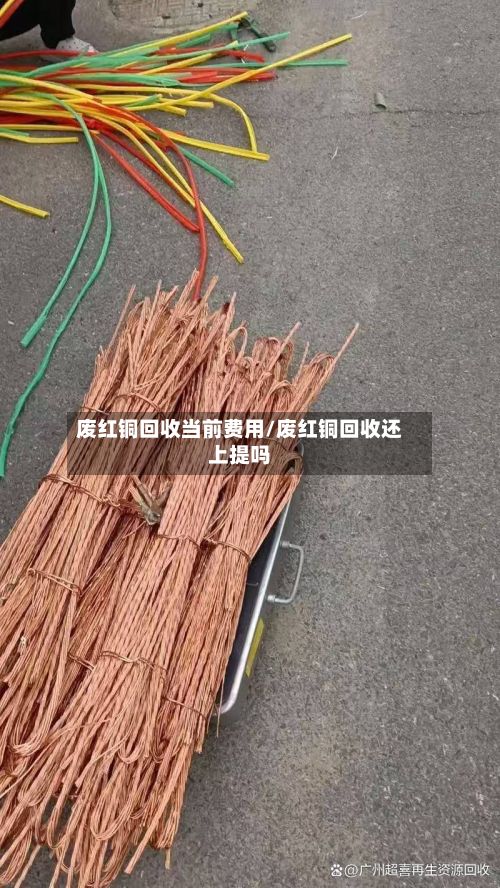 废红铜回收当前费用/废红铜回收还上提吗