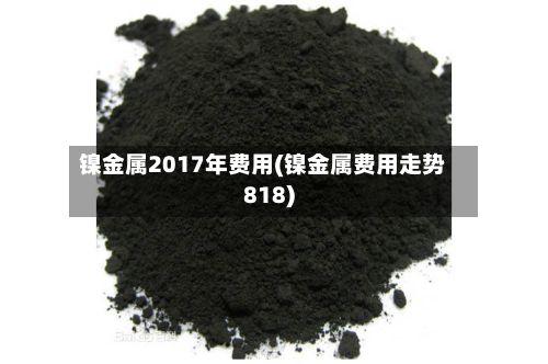 镍金属2017年费用(镍金属费用走势818)-第2张图片